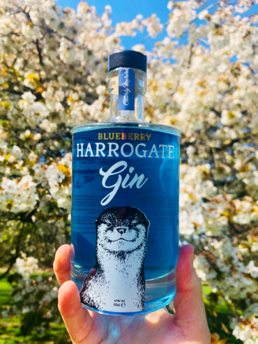 Blueberry Gin