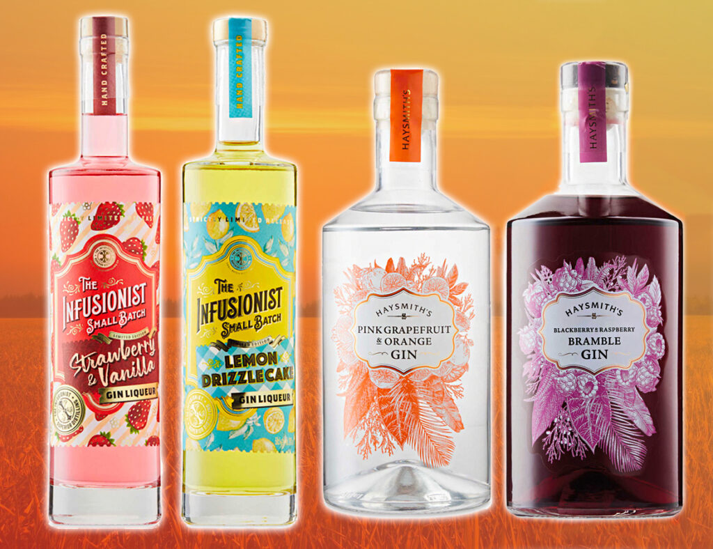 Aldi New Fruity Gin Range