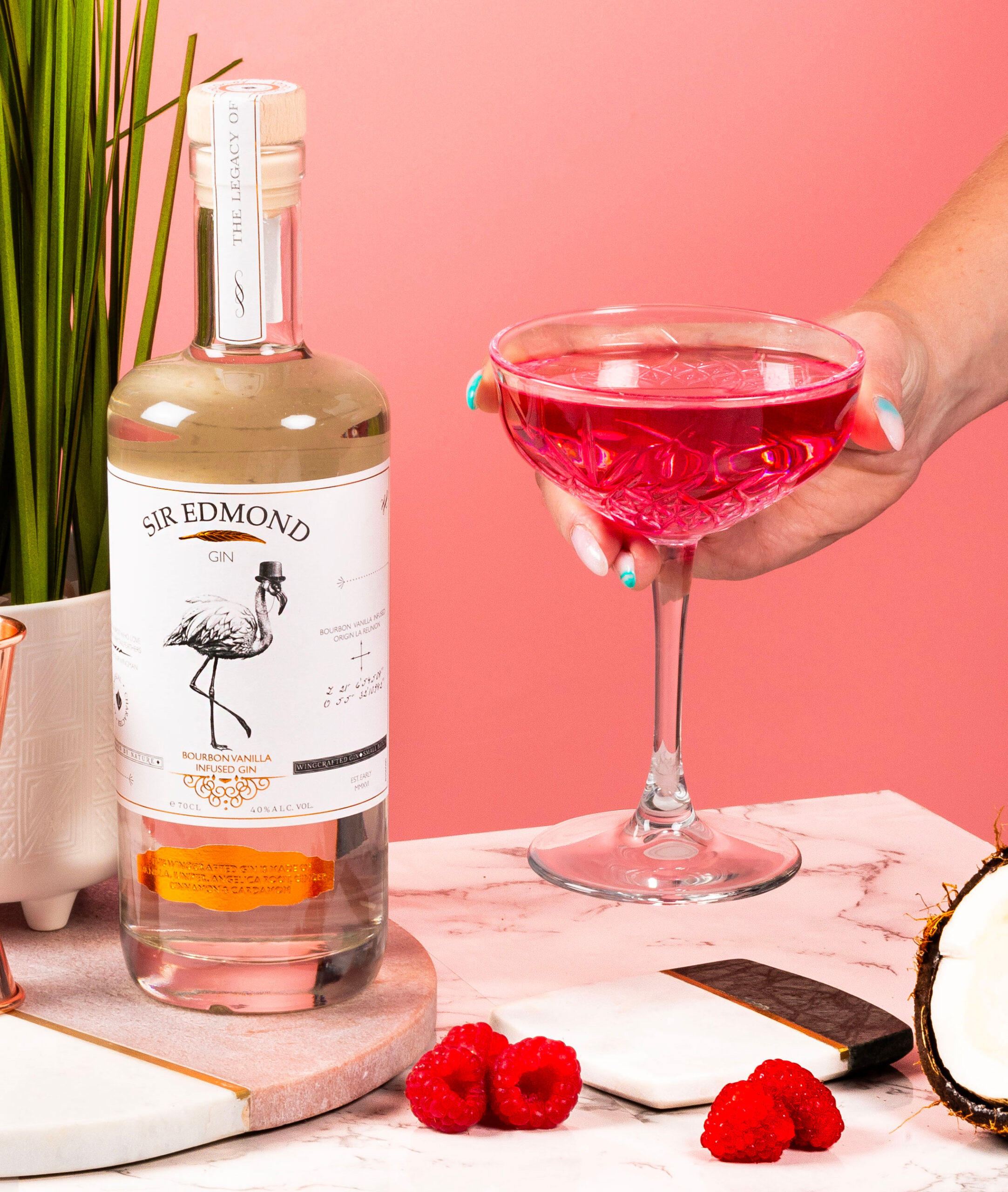 Raspberry Martini Cocktail Recipe